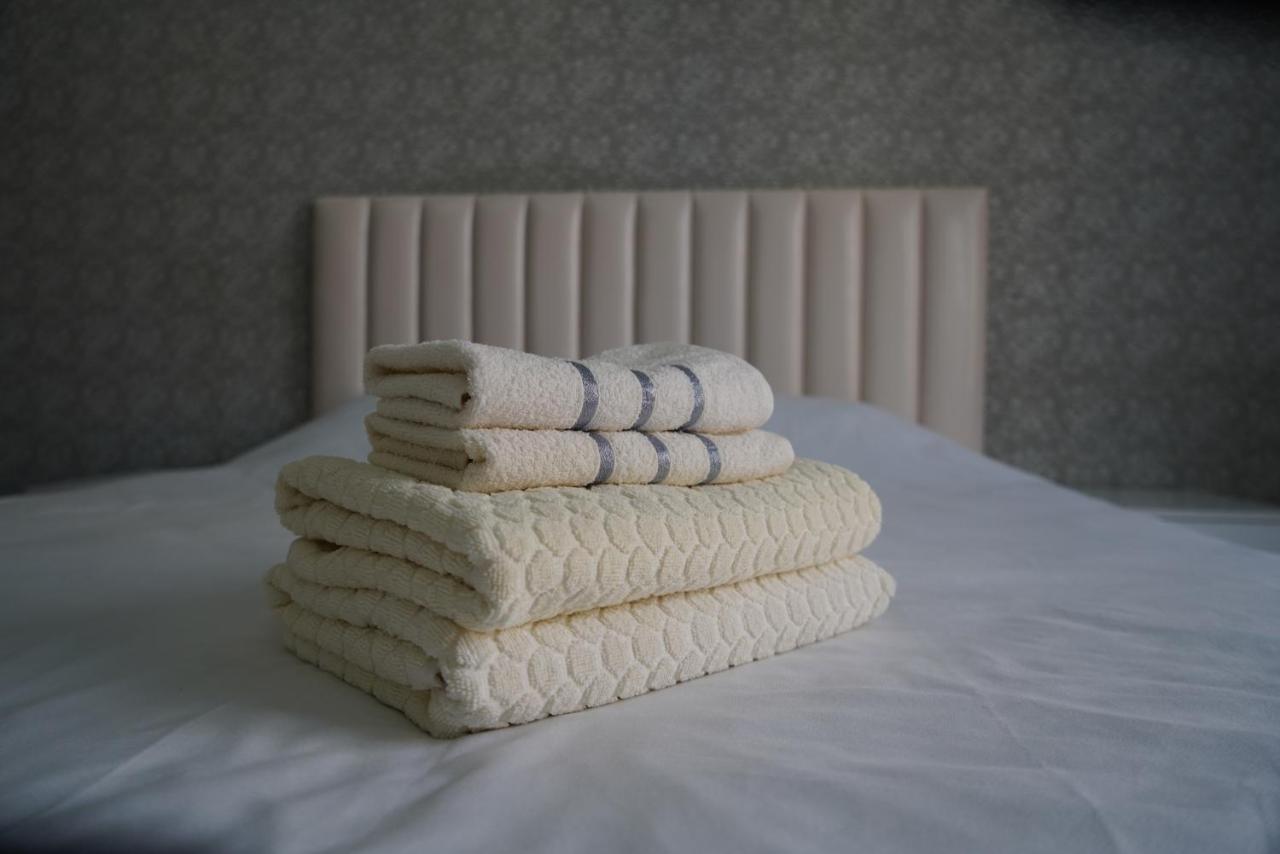 Nice And Comfortable Apartment In The Downtown Of Bichkek Extérieur photo